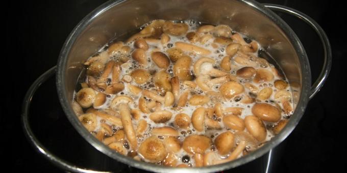Hvor meget man skal tilberede friske og frosne svampe