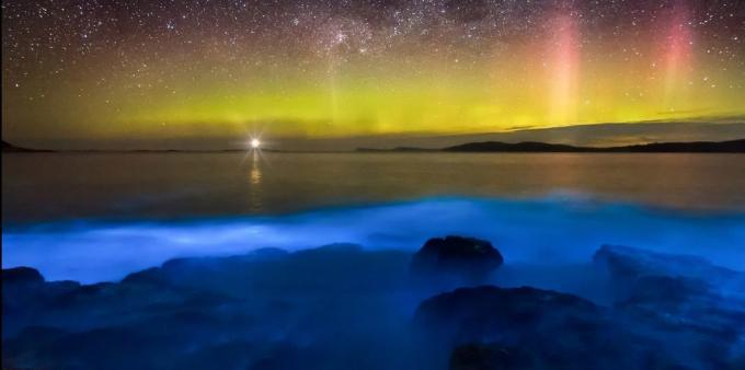 Utrolig smuk sted: bioluminiscerende farvande ud for kysten ved Tasmanien