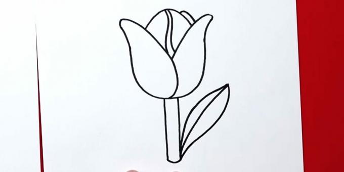 Sådan tegner du en tulipan: afslut det rigtige blad