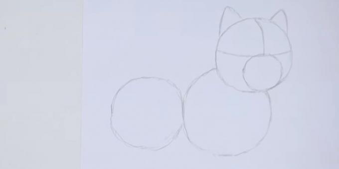 Tegn ørerne og tegne to cirkler under hovedet