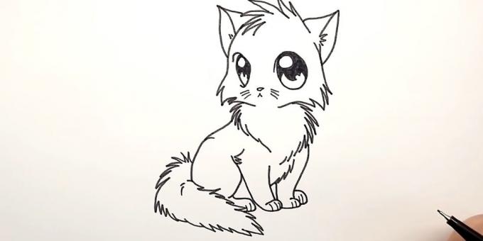 Hvordan man tegner anime kat: venstre add tilbage, og i bunden - en fluffy hale