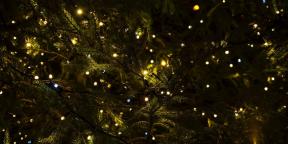 6 juletraditioner, der er kommet til os fra hedenskab