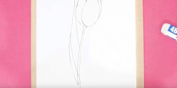 Sådan tegner du en tulipan: træk stilken og det venstre blad