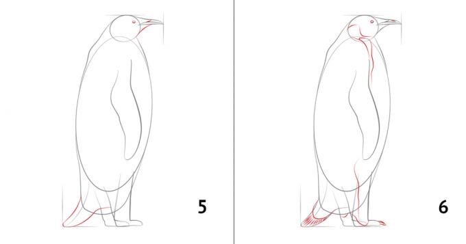 Sådan at tegne en pingvin