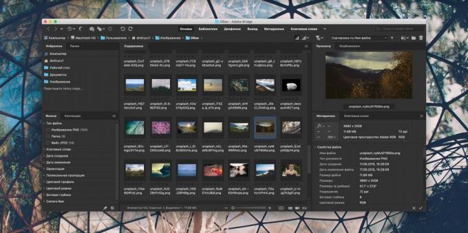 Sådan organisere en samling af fotos: Adobe Bridge
