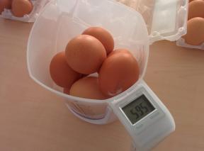 Hvad mere rentabelt at købe æg