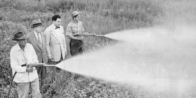 Kemikalier: DDT havde stor popularitet