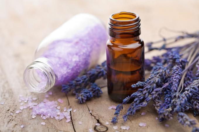 Insektstik: Lavendel olie