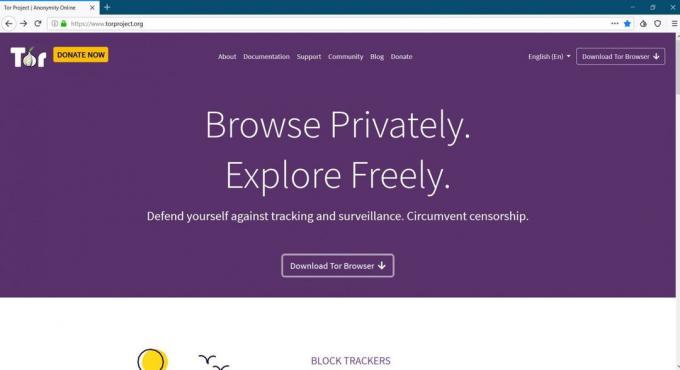 browsere til PC: Tor Browser