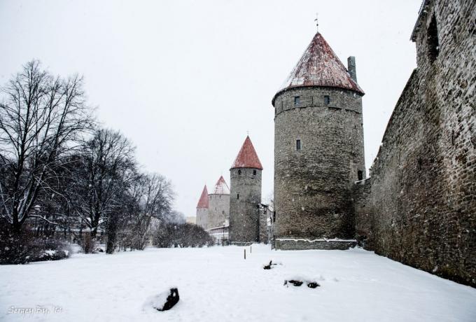 Tallinn væg