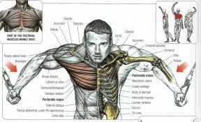 11 måder at gøre styrketræning mindre farlig for leddene