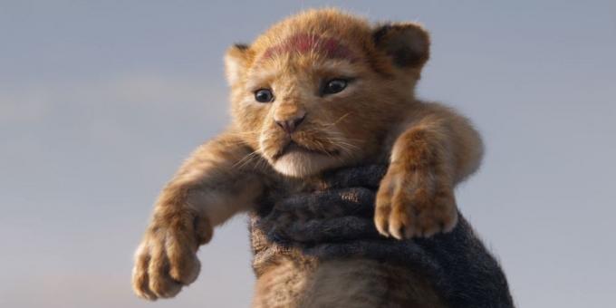 "The Lion King": en lille Simba