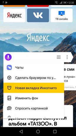 Hvordan at tænde inkognitotilstanden "Yandex. browser "