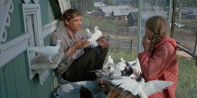 Sovjetiske film: "Kærlighed og Pigeons"