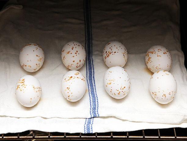 Hvordan at koge æg i ovnen