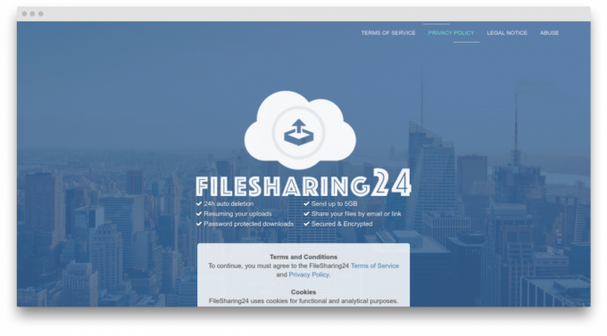 skærm FileSharing24
