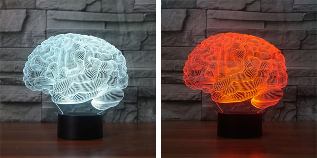 Lampe "hjerne"