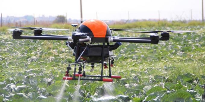 Drone hjælper dyrke planter