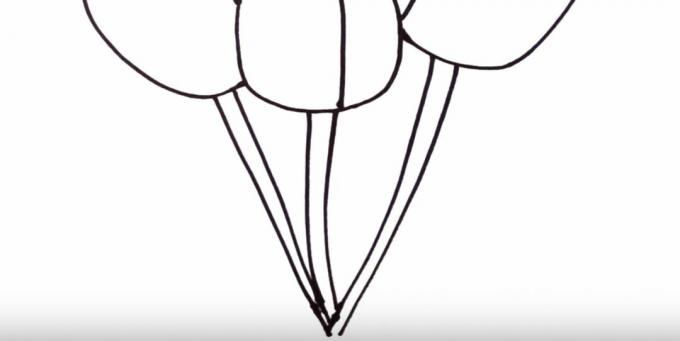 Hvordan man tegner en tulipan: tegne stilkene