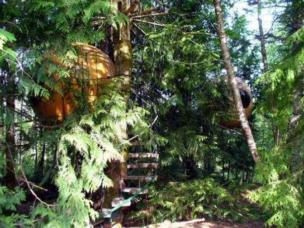 Treehouse, som kan reserveres