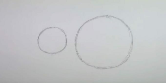 Hvordan man tegner en mus: skitse torso og hoved