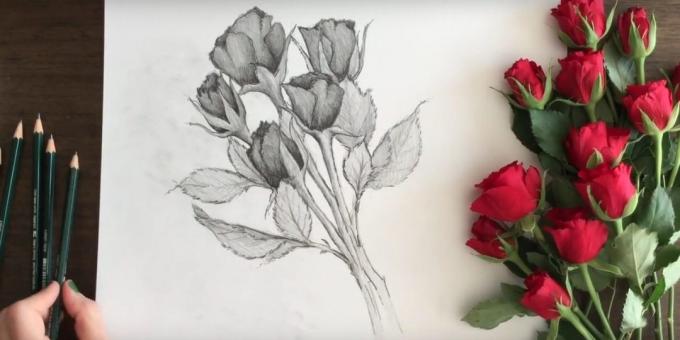Sådan at tegne en buket roser blyant