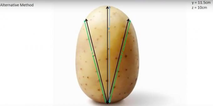 Kartofler i landlige opskrift: Hvordan til at skære kartofler