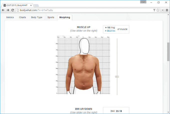 Virtuel simulator til BodyWHAT