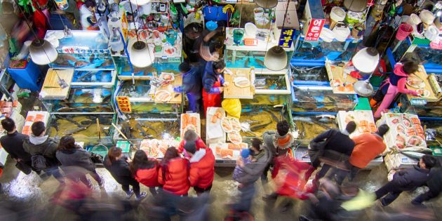 Attraktioner Sydkorea: det er nødvendigt at besøge fiskemarkedet