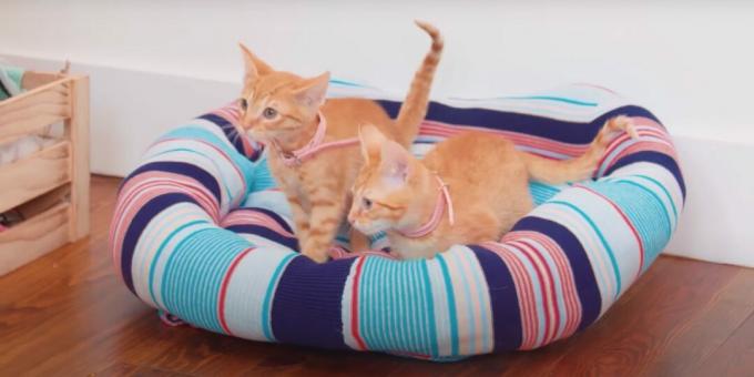 Hvordan man laver en gør-det-selv sweater-seng til en kat