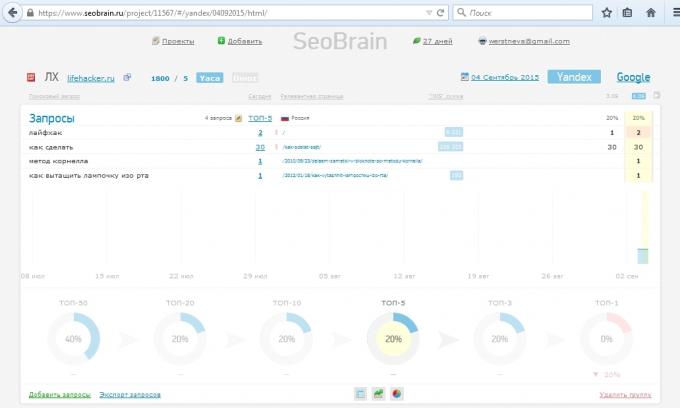 Serviceoversigt SeoBrain, projektrapport
